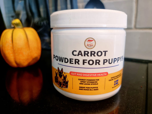 Morotspulver Carrot Powder