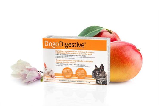 DogoDigestive