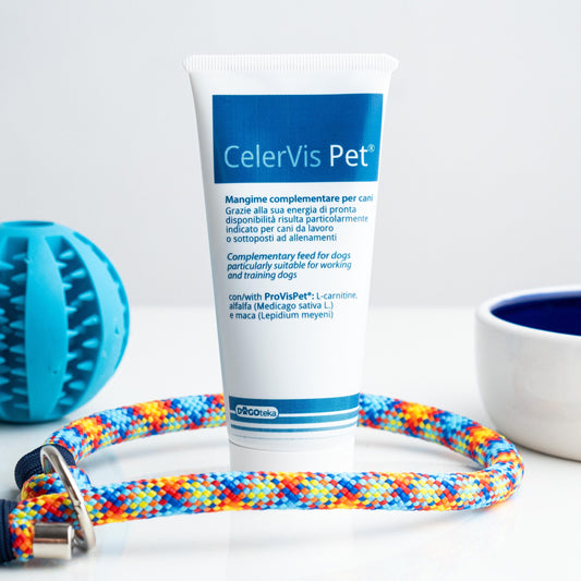 CelerVis Pet - Energipasta