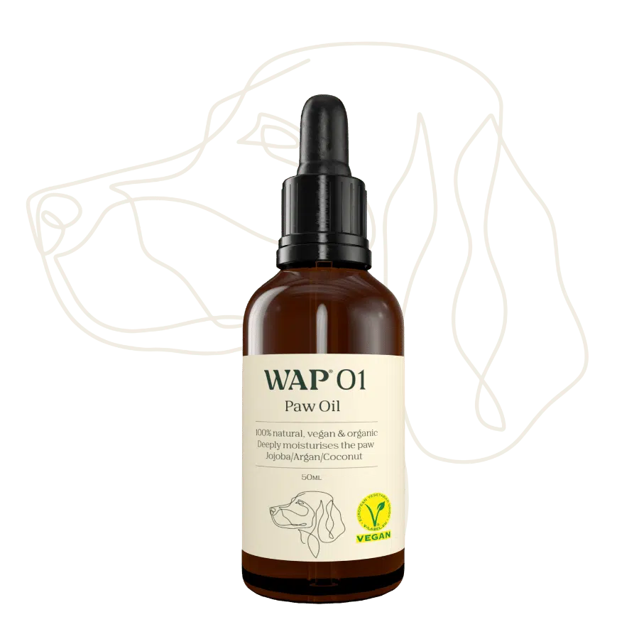 WAP 01 Tassolja