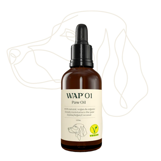 WAP 01 Tassolja