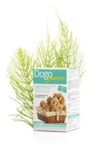 DOGOJunior